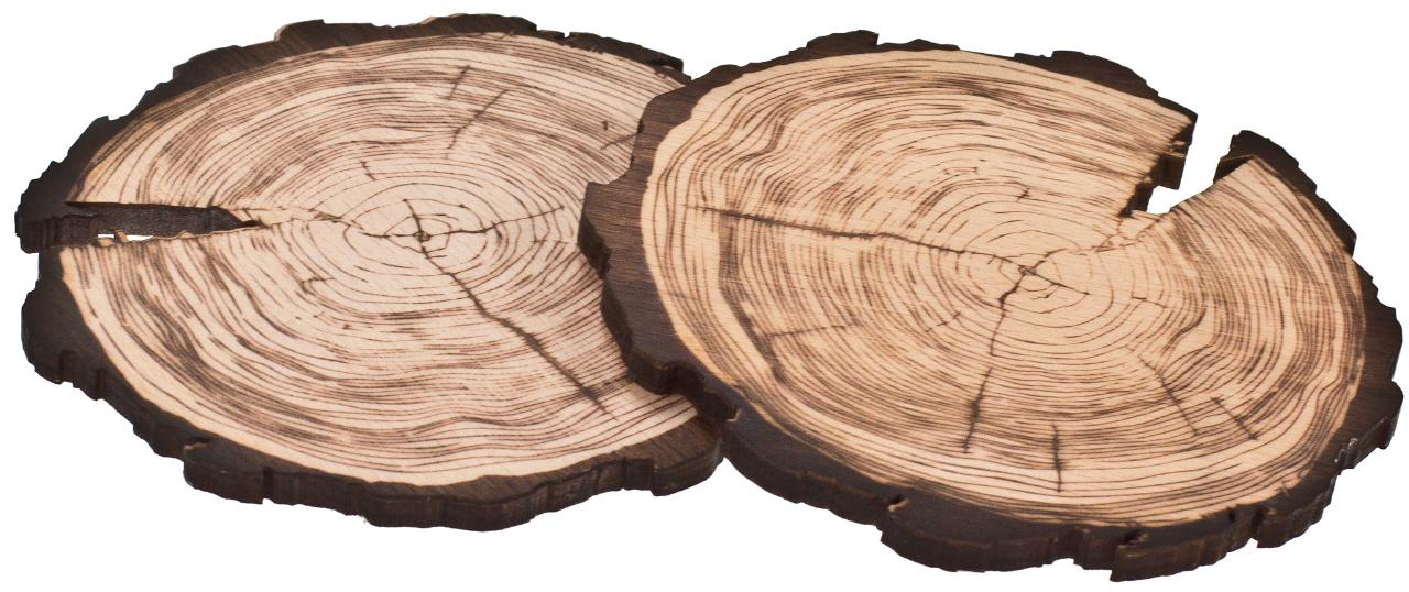 Untersetzer Rindenscheiben-Optik aus Buchenholz